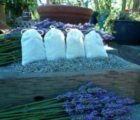 Farm Fresh Organic Lavender in Cotton Muslin Sachets, 4 for $5